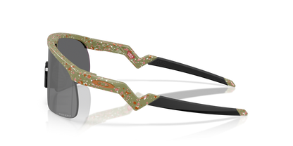 oakley sunglass Resistor (Youth Fit) Terrazzo Collection prizm black Lenses with fern terrazzo Frame