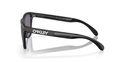 Oakley Frogskin Matte Trans Blue Prizm Black