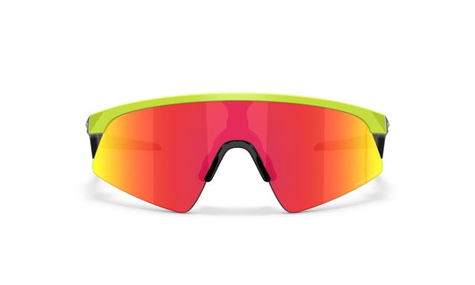 Oakley Customized Reistor Matte Retina Burn Prizm Ruby