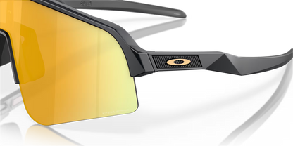 Oakley Encoder Strike prizm 24k Lenses, matte carbon Frame