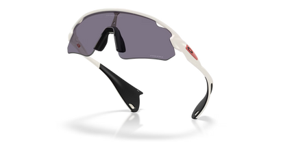 Oakley Stunt Devil Matte Mist Prizm Grey